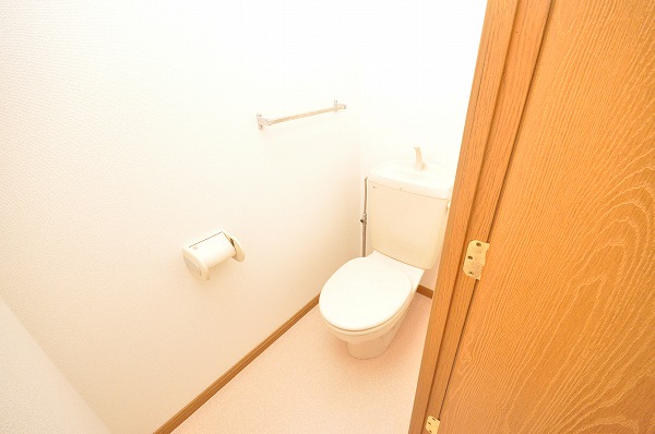 Toilet. Western-style toilet