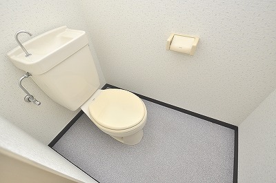 Toilet. Western style