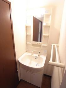 Washroom. Shampoo dresser