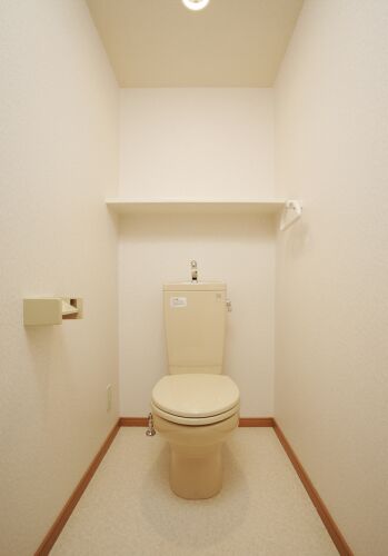 Toilet. Flush toilet