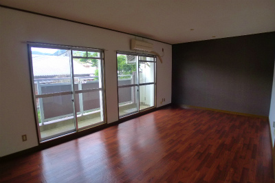 Living and room. Living