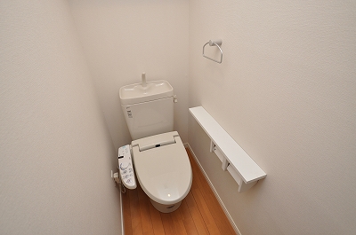 Toilet. Western-style toilet
