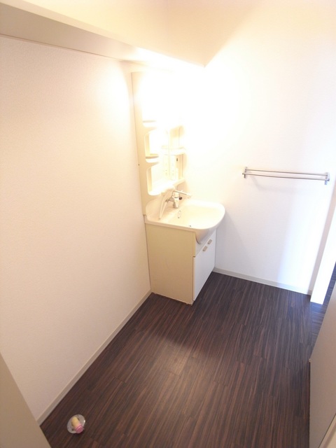 Washroom. Spacious dressing room