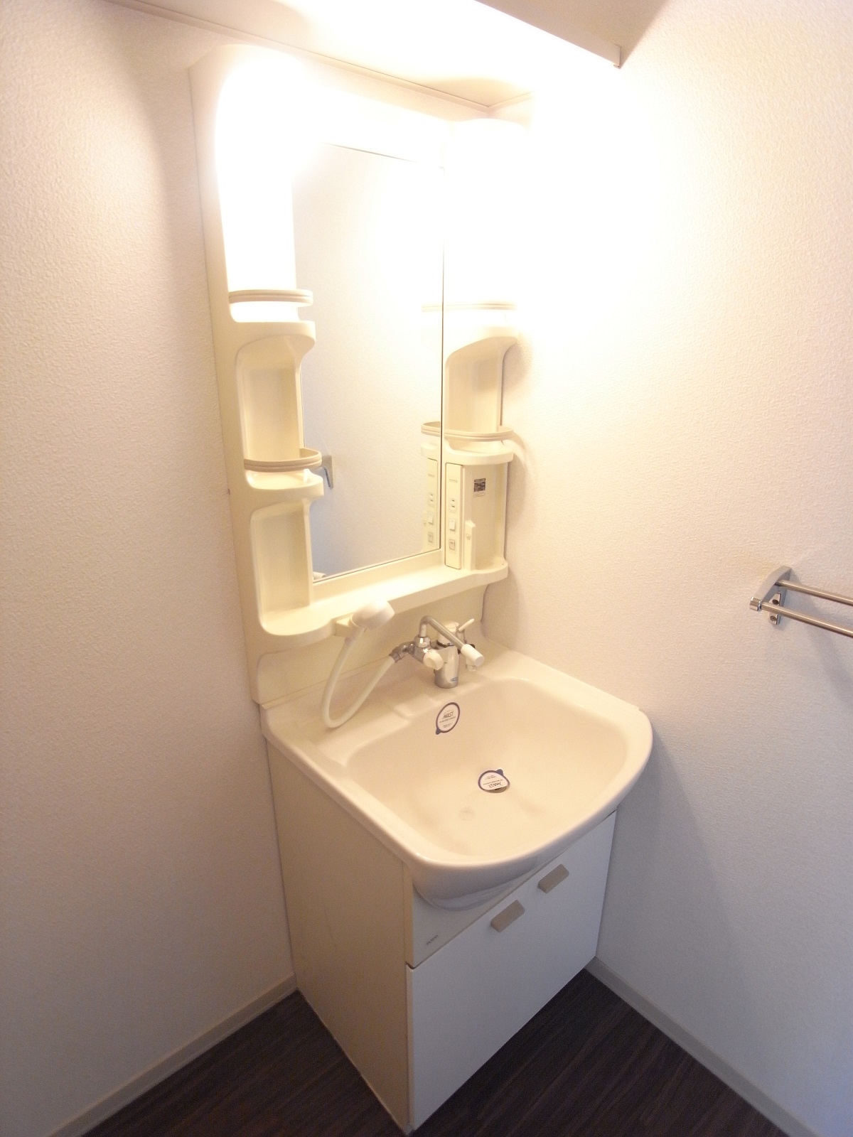 Washroom. Washbasin with popular shower to women