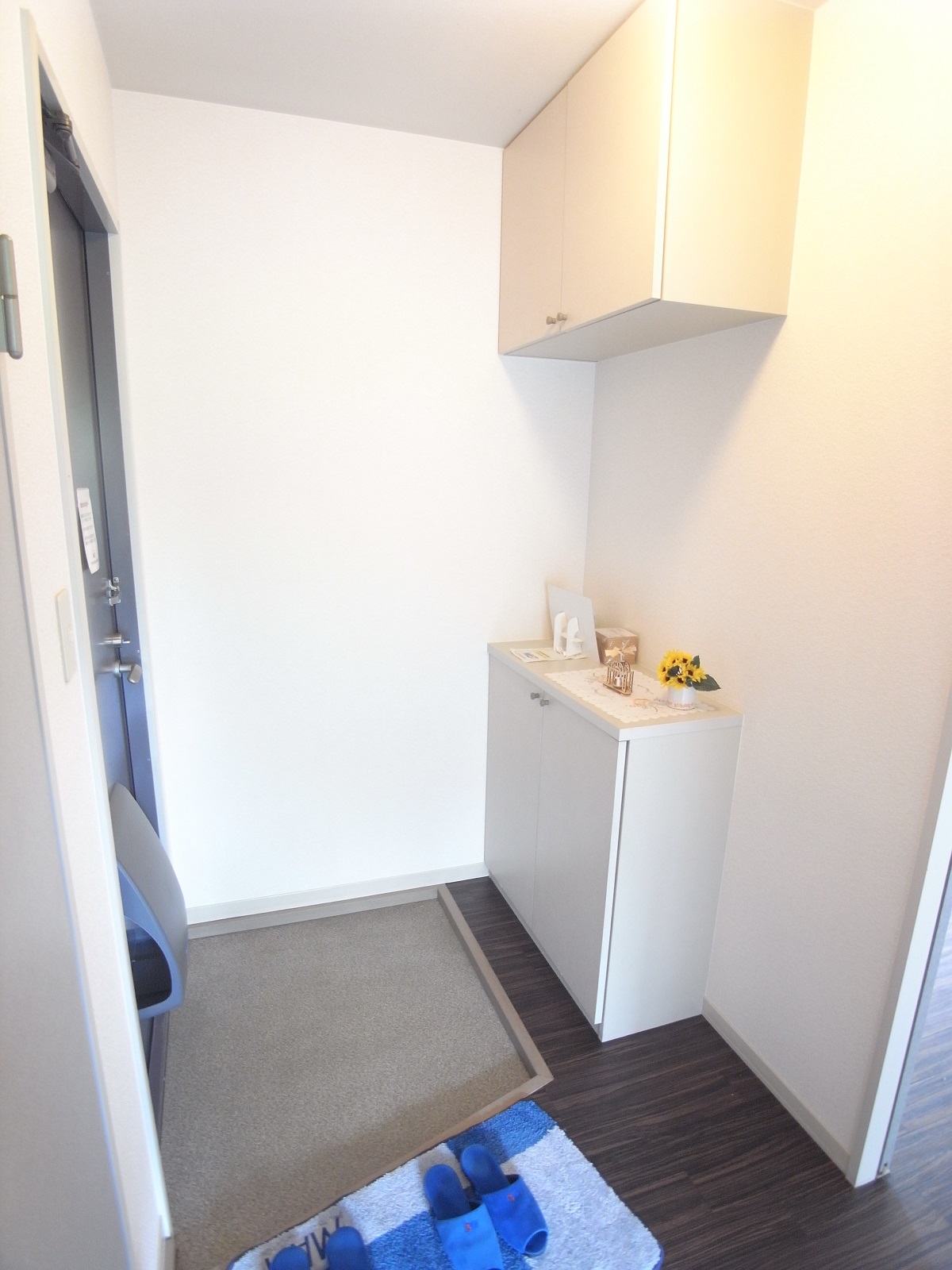 Entrance. Entrance storage enters plenty!