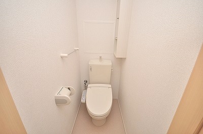 Toilet. Warm water washing toilet seat