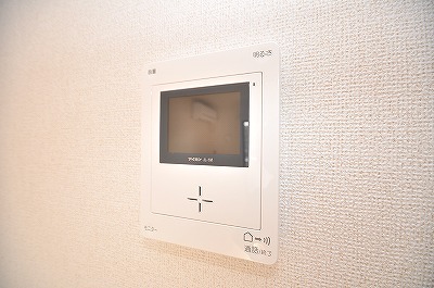 Security. Monitor with intercom