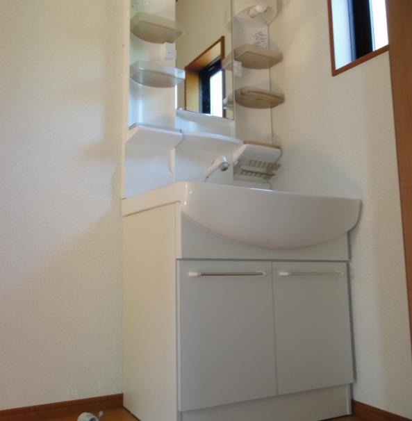 Other. The photograph is the same type