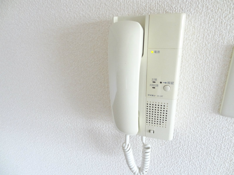 Entrance. Interphone