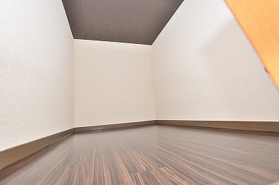 Other room space. On top of the loft