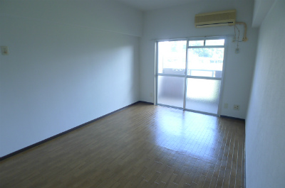 Living and room. Living