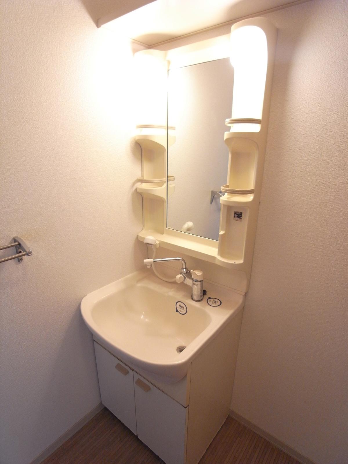 Washroom. Popular shampoo dresser women