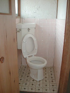 Toilet