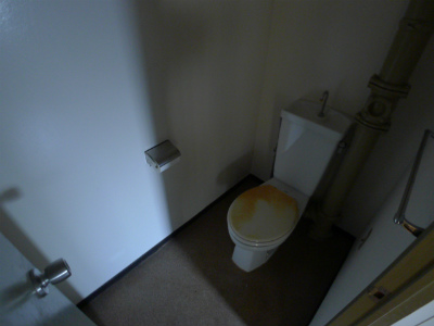 Toilet