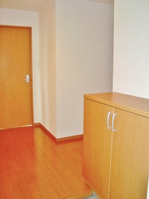 Entrance. Entrance hall