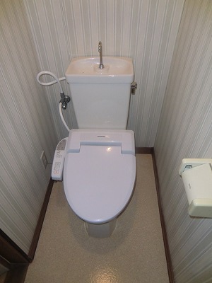 Toilet. Toilet