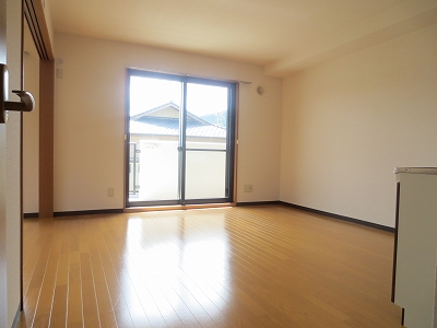 Living and room. Living