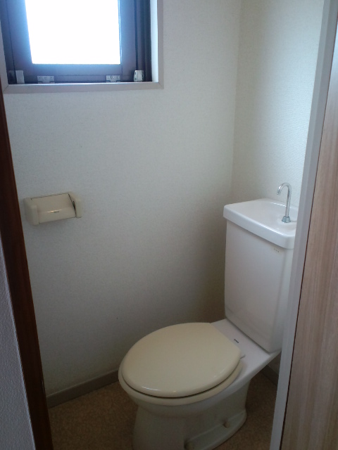 Toilet. It is a flush toilet.