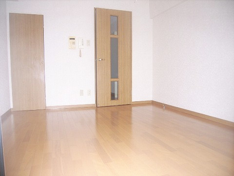 Kitchen. Living and room