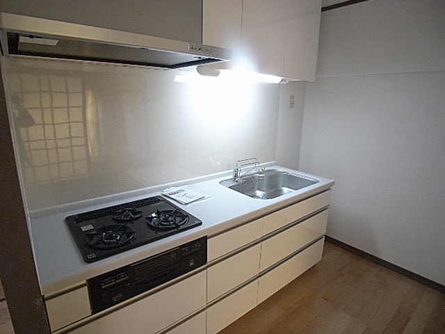 Kitchen. System kitchen