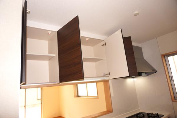 Same specifications photos (Other introspection)