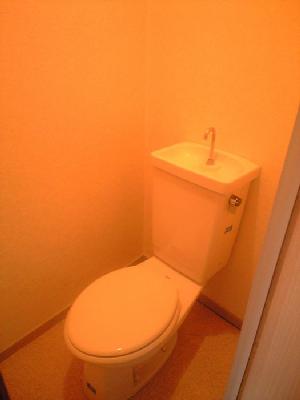 Other room space. Toilet