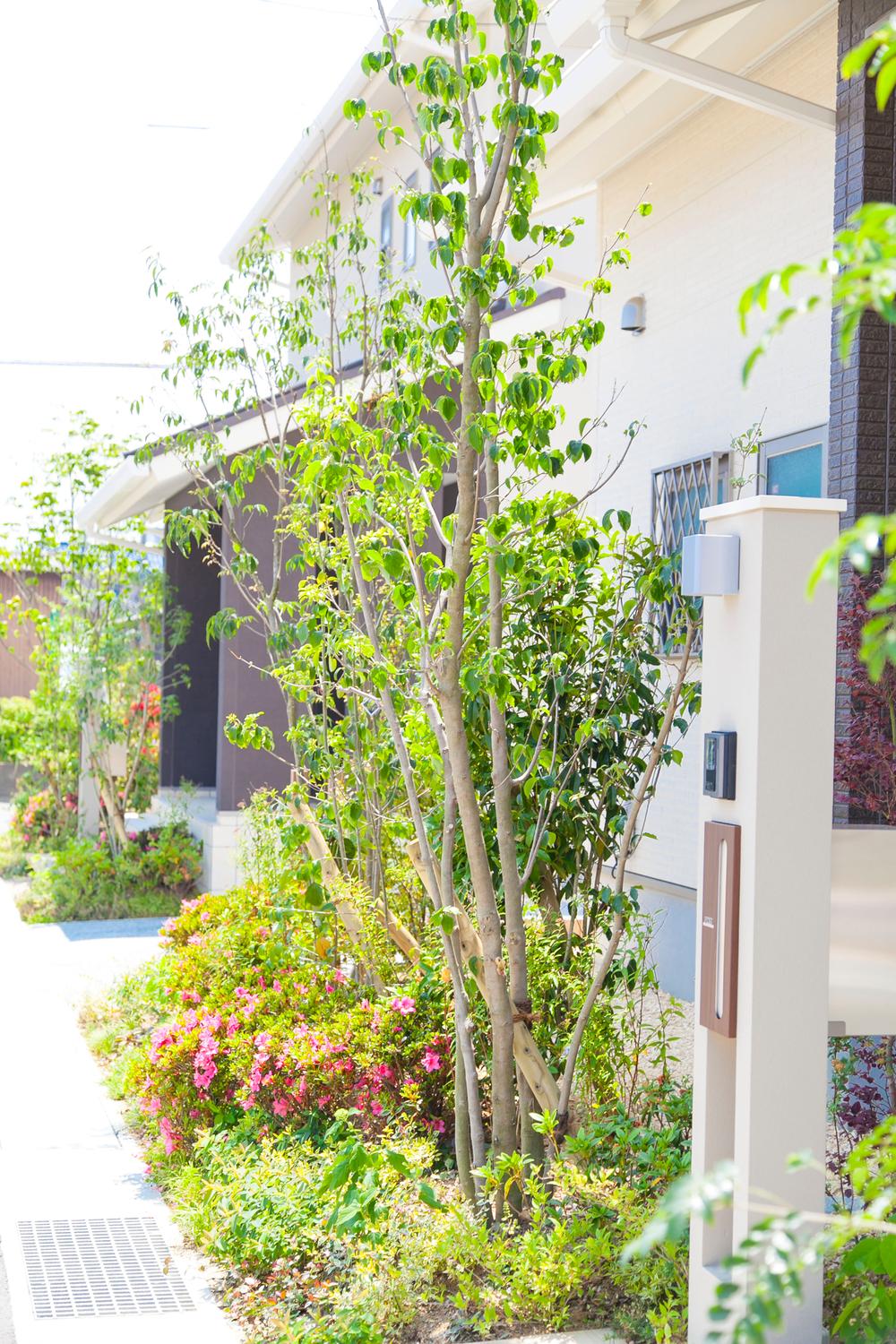 Other. Outdoor facility Planting