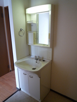 Washroom. Wash basin