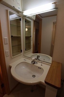 Entrance. Wash basin