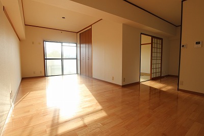 Living and room. Living