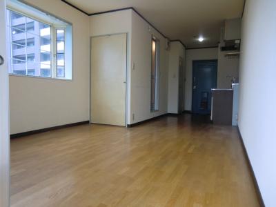 Other room space. Western style room