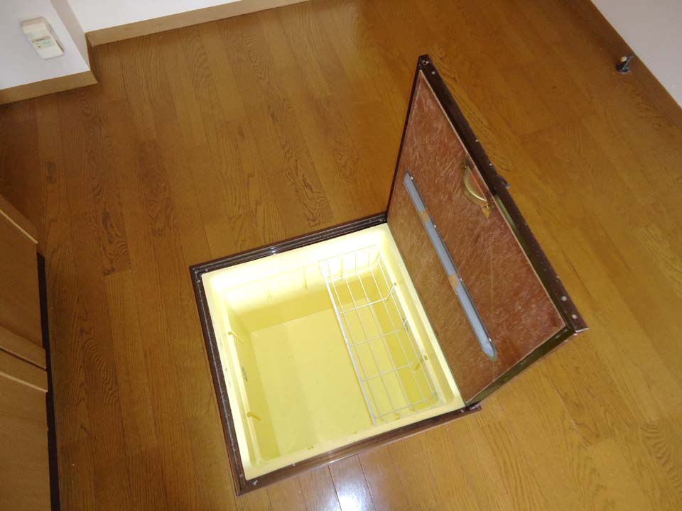 Other. Underfloor Storage