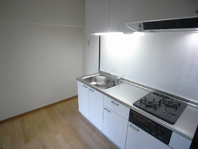 Kitchen. Two-burner stove with grill