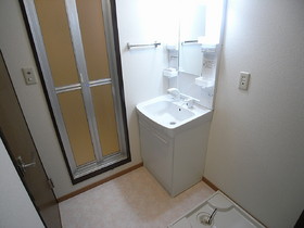 Washroom. Bathroom Vanity