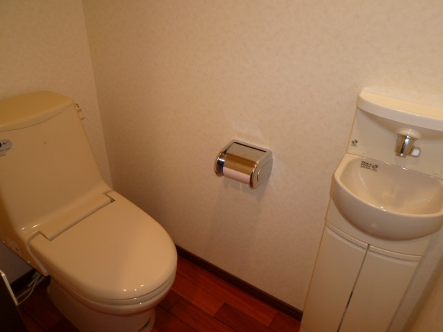 Toilet. Wash field with toilet