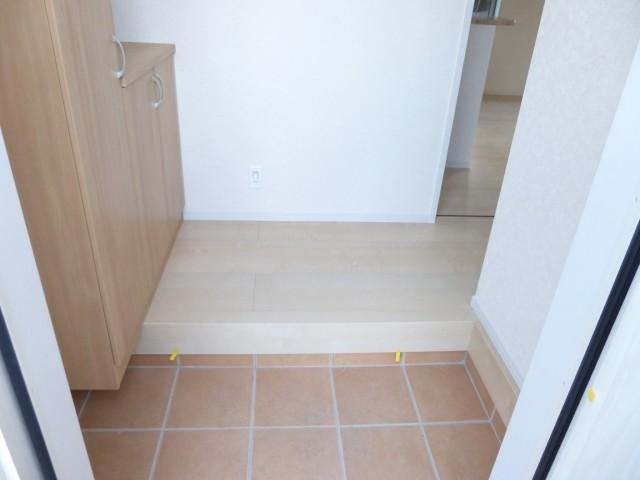 Other introspection. Entrance