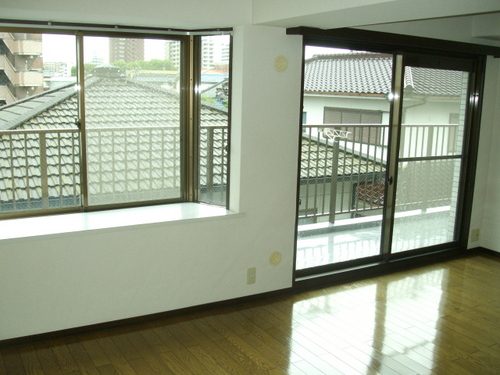 Living and room. LDK