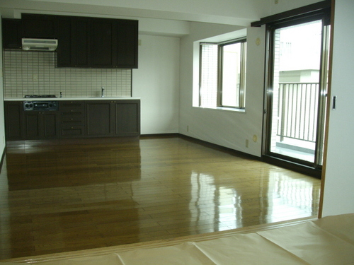 Living and room. LDK