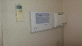 Other. Leo Palace security service