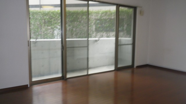 Other room space. The area of ​​the window is also broad