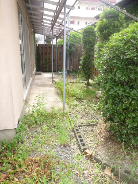 Building appearance. Garden part