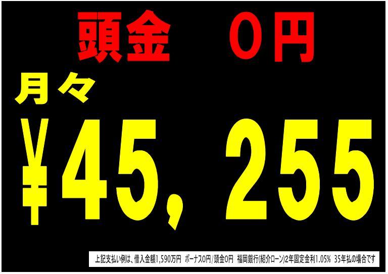 Other. Payment example (15.9 million yen)