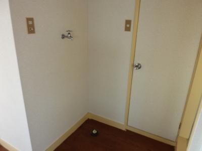 Other room space. Laundry Area