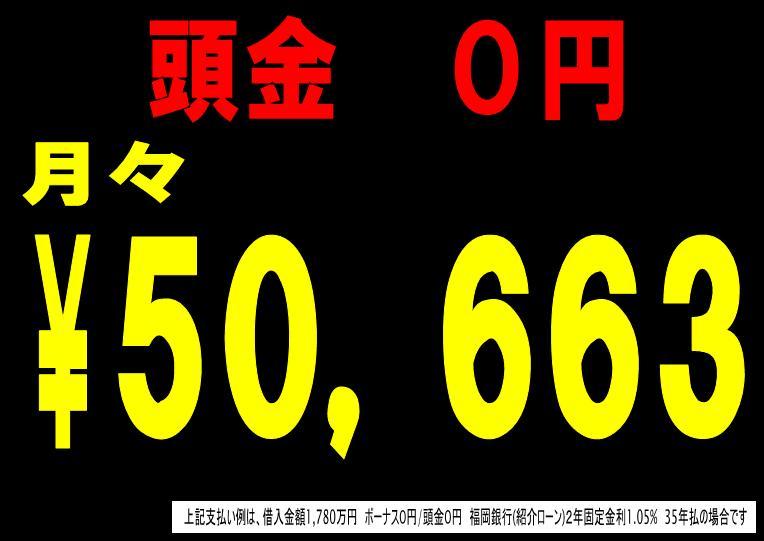 Other. Payment example (17.8 million yen)