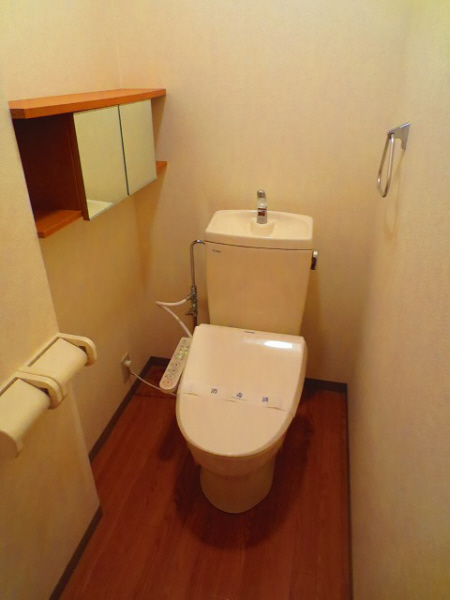 Toilet