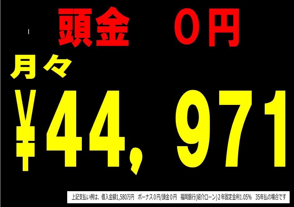 Other. Payment example (15.8 million yen)