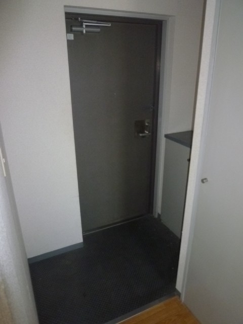 Entrance. Cupboard part