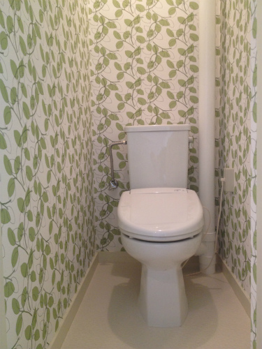 Toilet. Toilet with cleanliness.