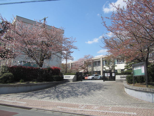 Primary school. 868m to Kurume Tachiaigawa elementary school (elementary school)