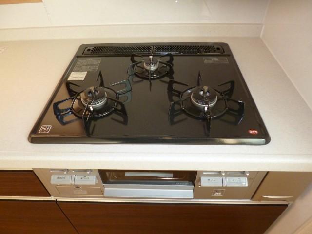 Other introspection. Kitchen range